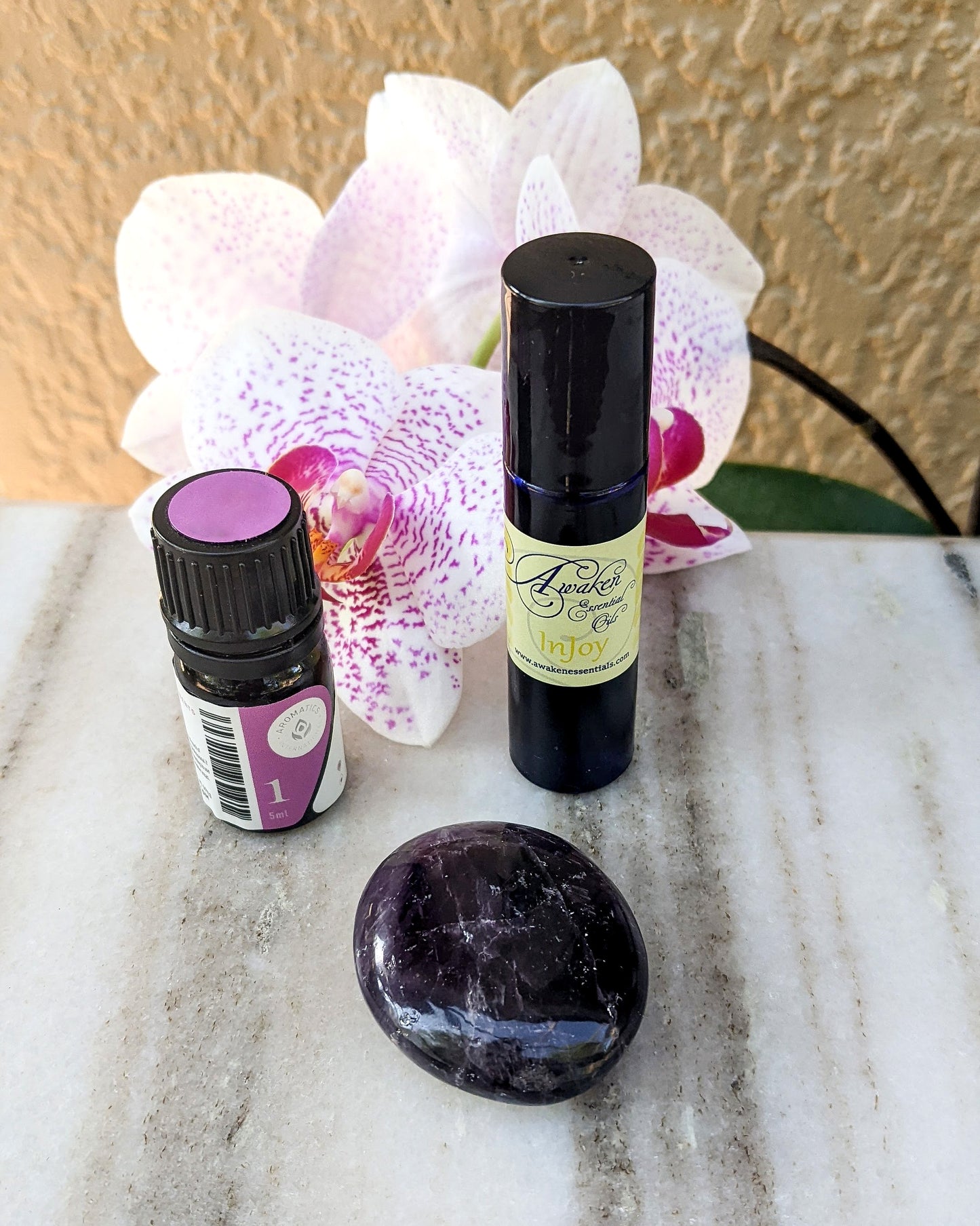 Hope for Healing Family Care Plan Companion Box