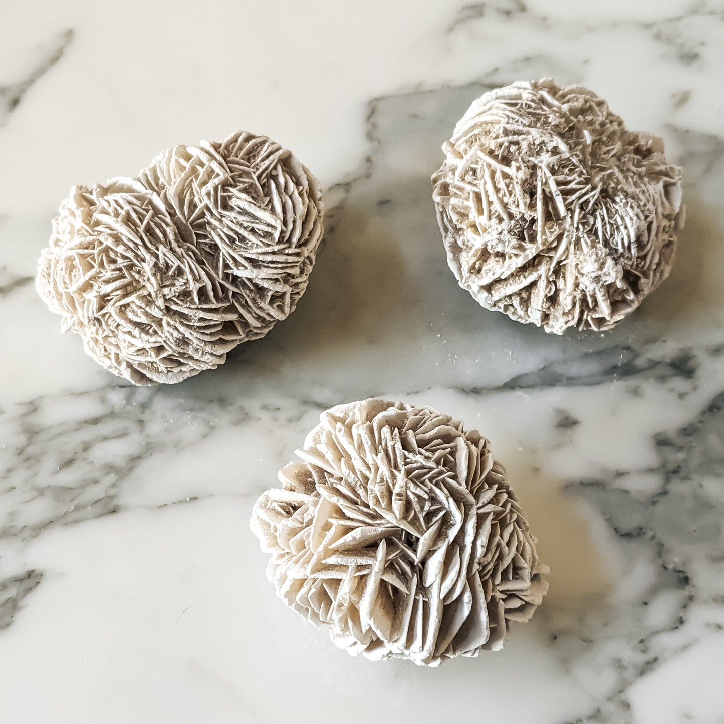 Desert Rose Specimen