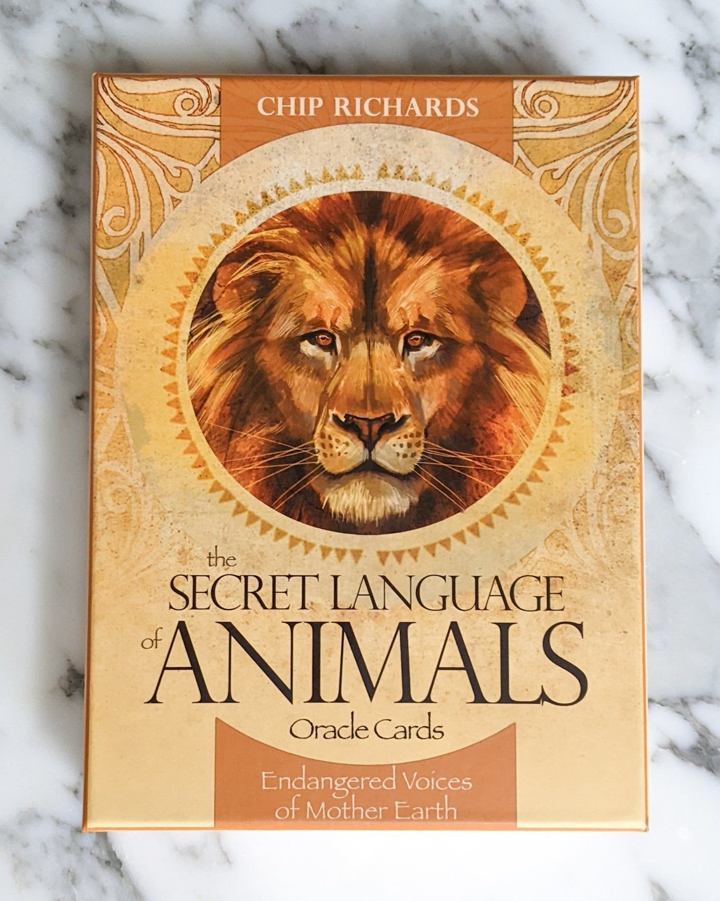 The Secret Language of Animals Oracle Cards