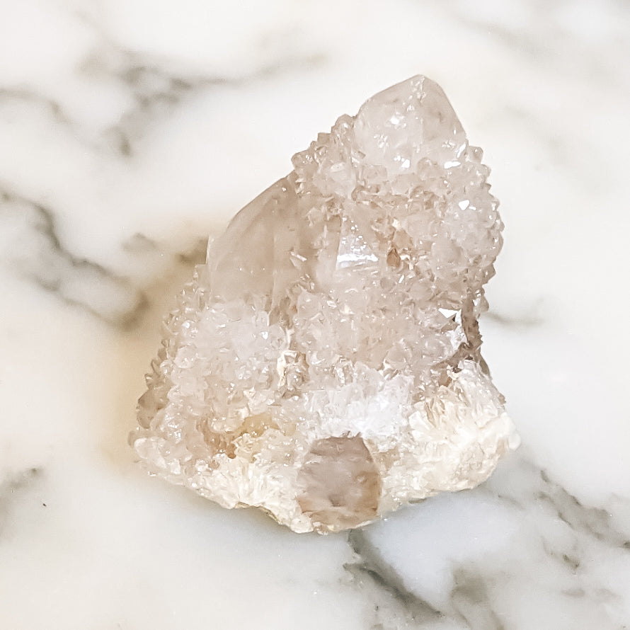 Spirit Quartz Cactus (Small)