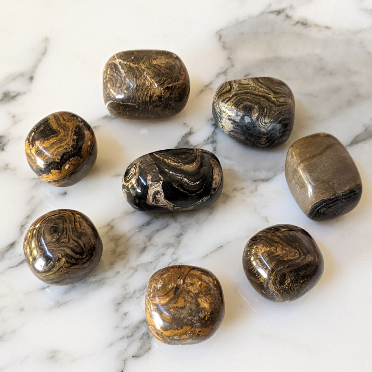 Stromatolite Gemstone