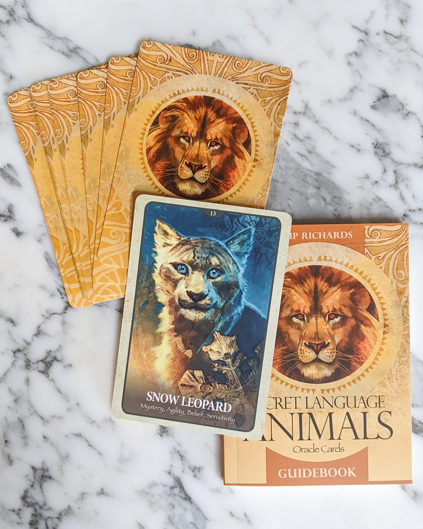 The Secret Language of Animals Oracle Cards